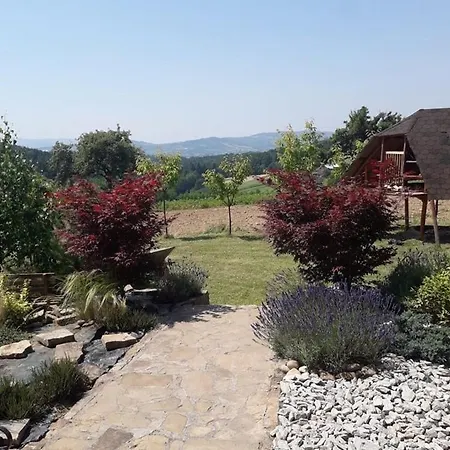 Hébergement de vacances Dom W Okolicach Czchowa Wytrzyszczka